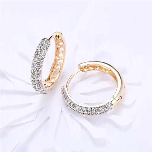 Exquisite Gold & Zircon Round Earrings